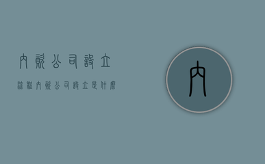 內資公司設立流程(內資公司設立是什么意思)